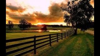 Chat Will They Take Your Cart Of Food Once You Go To The Car?! GRWM