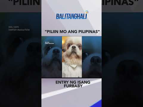 Ang TRENDING na pagkasa ng furbaby sa "Pilipiin mo ang Pilipinas" Challenge #shorts Balitanghali