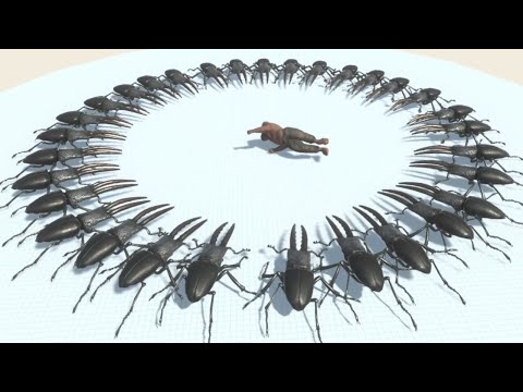 Every Unit surrounded by GIANT STAG BEETLE - Animal Revolt Battle Simulator