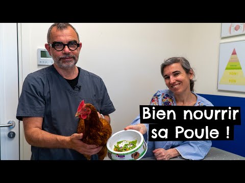 , title : 'Bien nourrir sa poule ! 🐔'