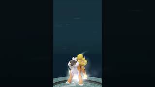 getting a shundo in #pokemongo #legendarypokemon #shiny #shundopokemon