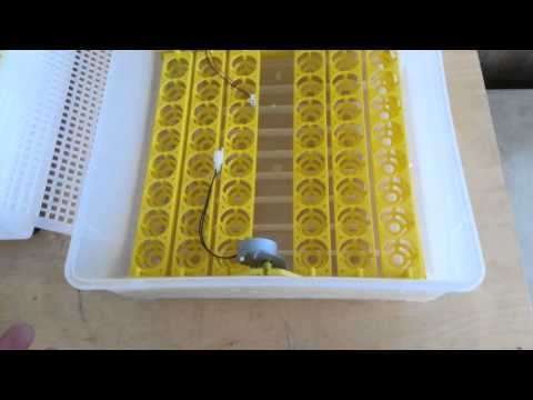 inqubator turkiyə istehsalı