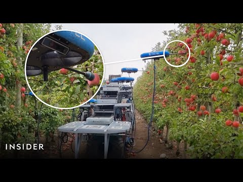 Are Fruit-Picking Drones The Future Of Harvesting? | Insider News