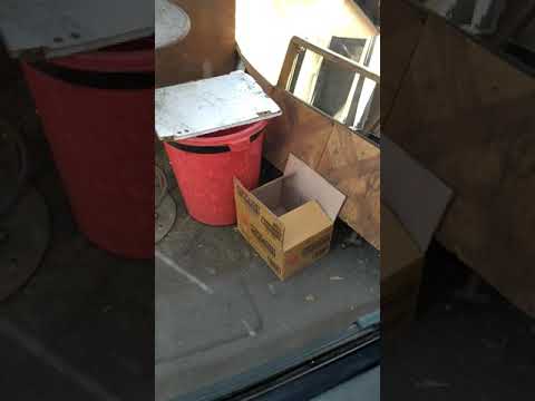 КРЫСА. Город Артём рынок возле продажа беляшей и Пирожков