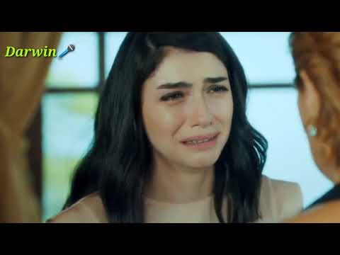 Hamouda X Sanfara -Nour Einya |نور عينيا []vidéo clip [] كالمات