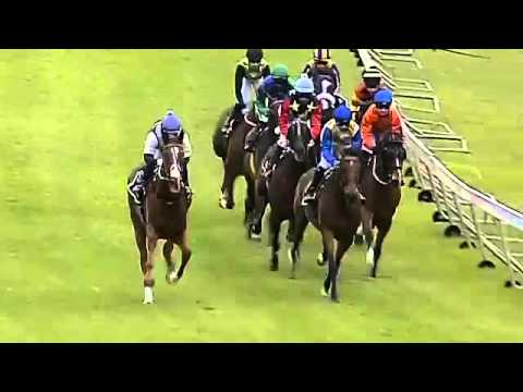 2015.12.19 Cape Summer Stayers Handicap (RSA) - Current Event