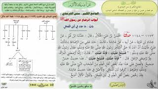 صورة شرح الجامع الكبير سنن الترمذي : باب ماجاء في لبن الفحل - الحديث 1173 || ماهر ياسين الفحل