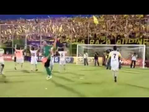 "Dale CAMPEÓN, Dale CAMPEÓN !!! Festejo de la Hinchada Aurinegra" Barra: La Raza Aurinegra &bull; Club: Guaraní de Asunción