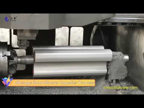 Shangu Roots Blower Workshop Processing