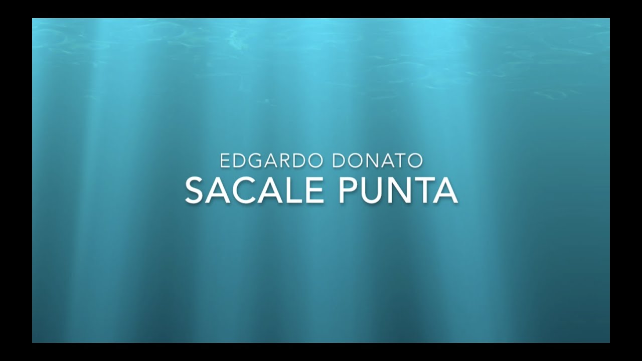 Sacale punta СЛОВА И ПЕРЕВОД