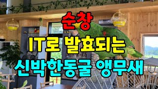 전라북도 관광유튜브 크리에이터 / 순창가볼만한곳 / 순창발효소스동굴 앵무새팜 / 순창여행