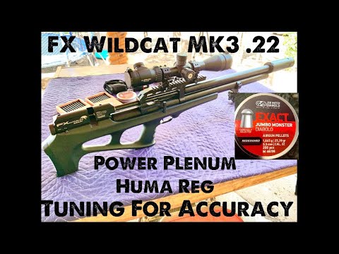 FX Wildcat MK3 Sniper .22 with Power Plenum Using JSB 25.39 gr.+ Tuning Tips