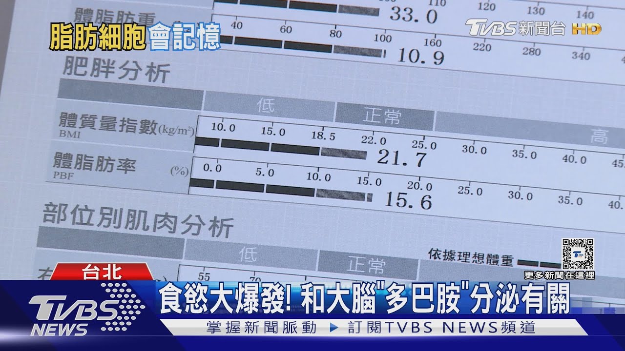 「瘦了又胖」難維持! 恐因脂肪細胞「有記憶」