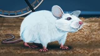 Британский Минздрав поддержал вейпинг мультиком