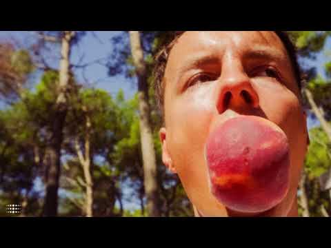 Hooligan Peach - CHEMOL