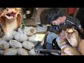 PART 2 NAHULI ANG PANG WALO NA COBRA NA NAKUHAAN NG 58 NA ITLOG NG COBRA