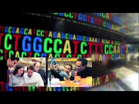 Human evolution: From genotype to phenotype