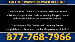 preview picture of video 'Whistleblower Lawyer Linton Hall'