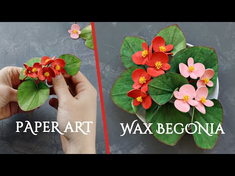 I Made a Begonia from Paper - Wax Begonia Botanical Art - 3D Paper Art