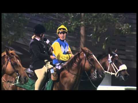 30.03.2013 Meydan (Dubai-UAE) 5.Race Al Quoz Sprint 2013 - Group I 1.000 m