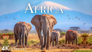 Amazing Wildlife of Africa in 4K | Nature Scenes | Scenic Relaxation Film