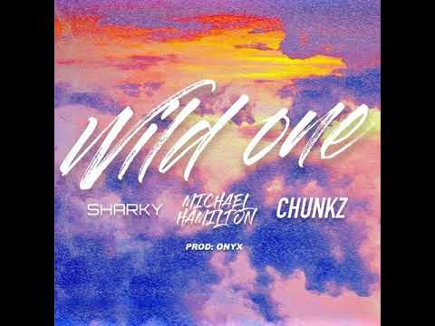 Sharky X Michael X Chunkz - Wild One