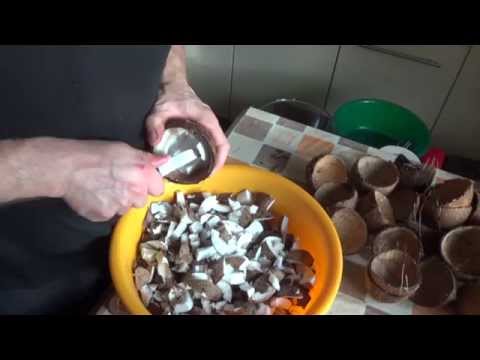Środek przeciw wypadaniu włosów Daeng gi Meo ri intensywne 145 ml Wypadanie włosów z powodu wczesnego siwienie włosów