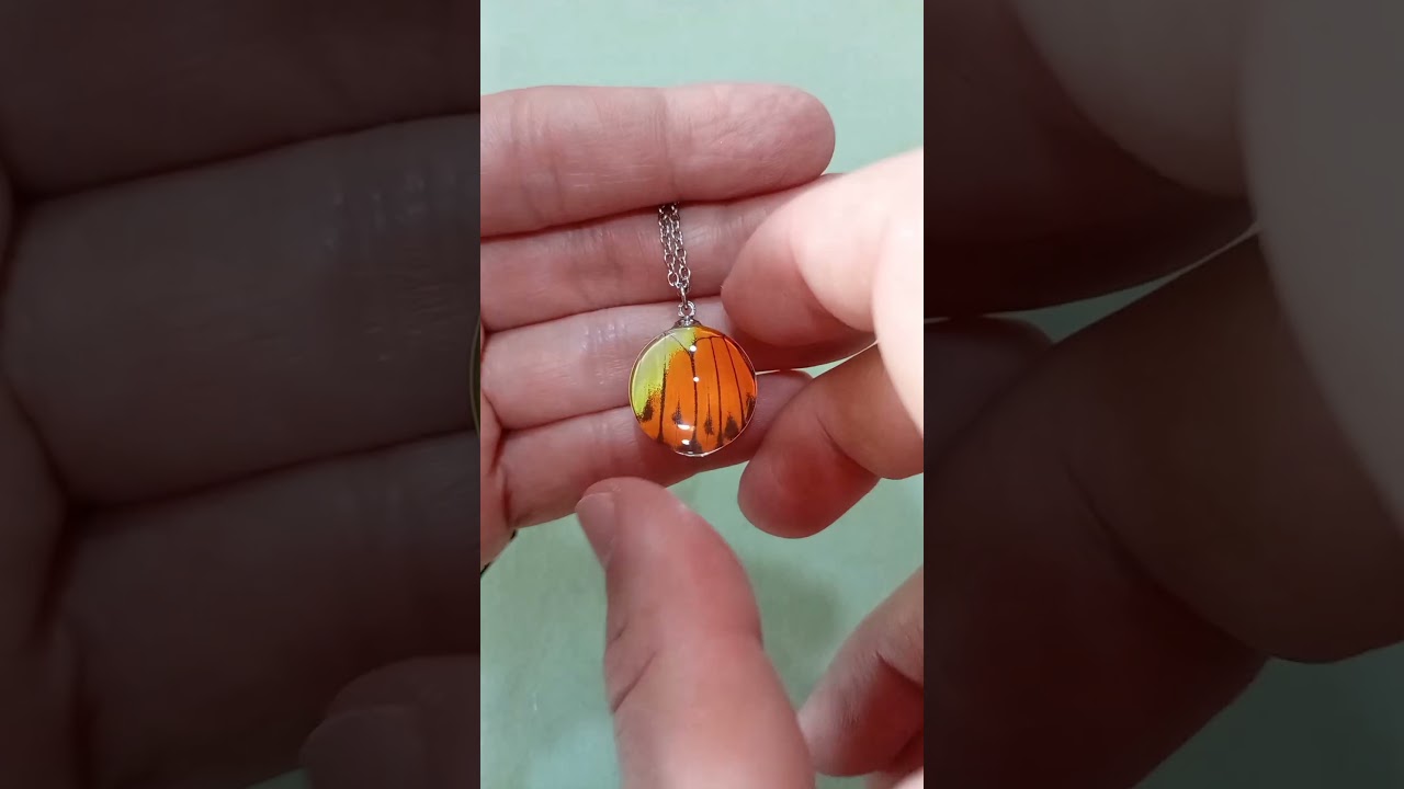 20mm Hebomoia glaucippe real butterfly wing pendant under glass lens Christmas gift jewelry