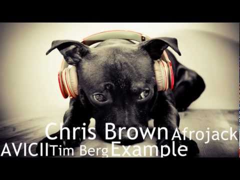 Avicii, Tim Berg, Example, Avicii ft. David Guetta, Chris Brown, Afrojack [Fl studio 9 XXL] [Mix]