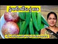 ડુંગળી ભીંડા નું શાક બનાવવાની રીત | Bhinda Kanda nu Shaak Banava