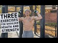 THREE EXERCISES FOR SHOULDER STRENGTH AND HEALTH | PULL AND PUSH TRAINING | SHOULDERS AND BACK GAINS