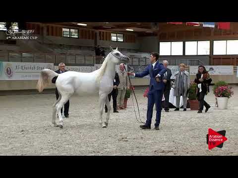 N.9 MURANAS MAHA - Deauville 2017 - Yearling Fillies (Class 1A)