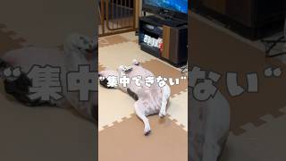 月9に集中できない🥲