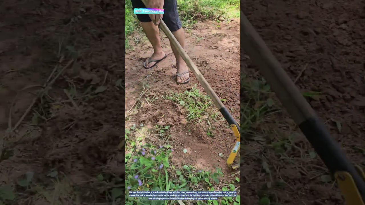 Landscaping Effortlessly: The Power of Manual Weeding Tools