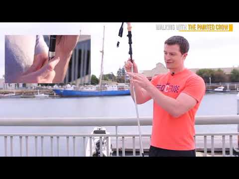 5 Trendy Hiking Quick Lock Trekking Poles You Can Buy in 2019 From Amazon