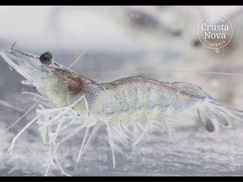 Bayrischer Gründerpreis 2017