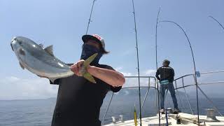 ブリにメジロ爆釣　日本海　師匠と初夏の丹後半島ハピネス２でキャスティング＆ジギング　ハピネス２