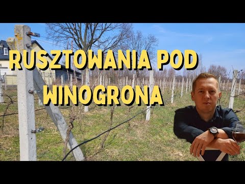 , title : 'Rusztowania dla winogron'