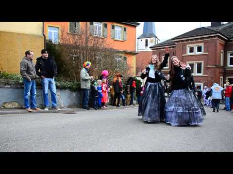 Faschingsumzug Hardthausen-Gochsen 2014