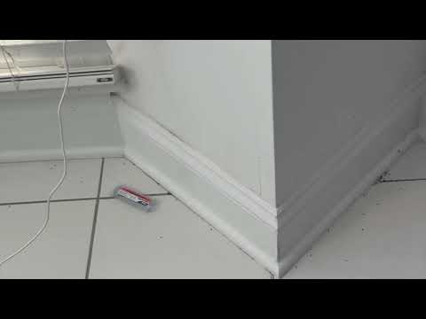 Kitchen Overrun with Ants in Eatontown, NJ