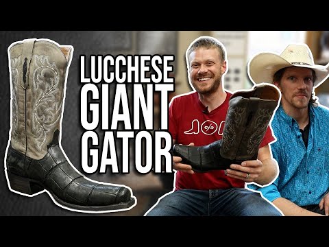 The Burke: Lucchese Alligator Boots Quick Impression at Lou Taubert Ranch Outfitters