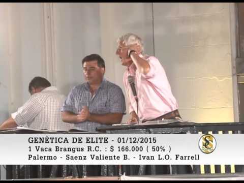 01-12-15 Ventas ( Parte 2 ) - Genetica de Elite - Palermo - Buenos Aires