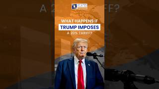 What happens if Trump Imposes a 20% tariff????