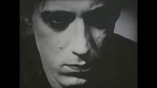 09 - Breeders - Sinister Foxx