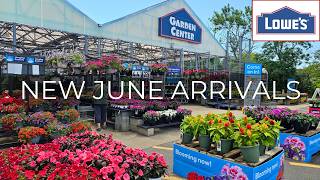 NEW Plants at Lowe’s Garden Center | June 2026
