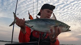 Good Way To Start The Albie Season