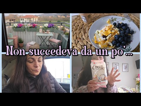NON SUCCEDEVA DA UN PO... 🥹🦋/SPESA DA LIDL E BALCONE FIORITO