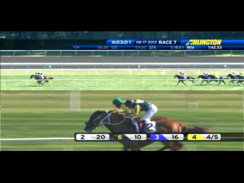 2013 American St Leger Dandino