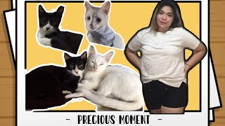 Meet my cute babies | Pet Lover |