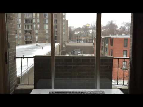 44 Washington St #404 Brookline MA